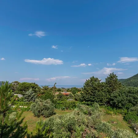 Appartement Vasilia *