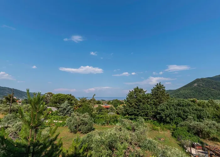 Apartament Vasilia *