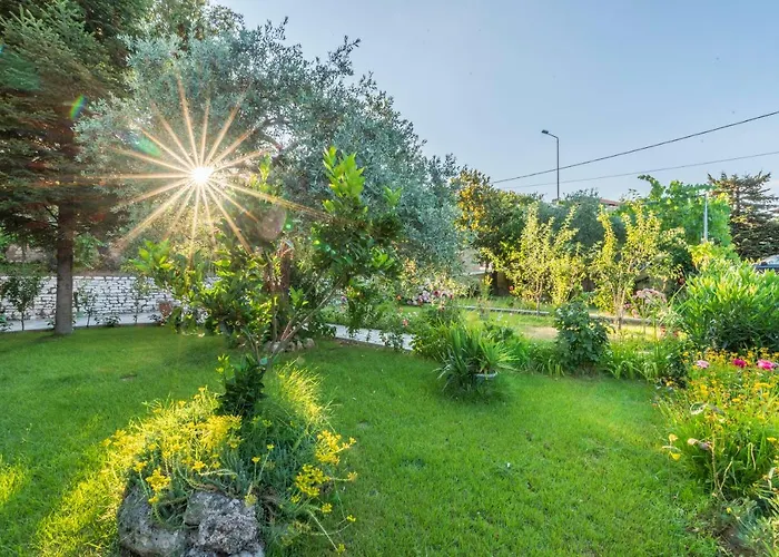 Vasilia Apartament Skala Potamia