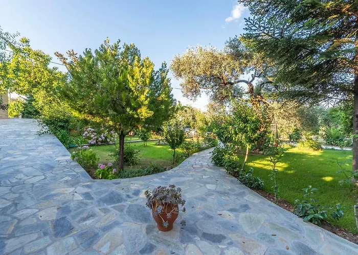 Apartament Vasilia *